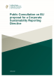 
            Image depicting item named Public Consultation on EU proposal for a Corporate Sustainability Reporting Directive