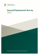 
            Image depicting item named Annual Employment Survey 2020