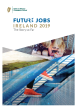 
            Image depicting item named Future Jobs Ireland — The Story so Far