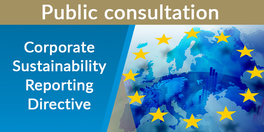 Description for Public consultation on the Corporate Sustainability Reporting Directive