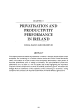 
            Image depicting item named Chapter 11: Privatisation and Productivity Performance in Ireland
