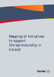 
            Image depicting item named Mapping of Initiatives to Support Entrepreneurship Policy for Ireland