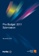 
            Image depicting item named Pre-Budget 2011 Submission