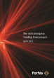
            Image depicting item named The Irish Enterprise Funding Environment