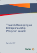
            Image depicting item named Towards Developing an Entrepreneurship Policy for Ireland