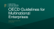 
            Image depicting item named Presentation – OECD Guidelines for Multinational Enterprises