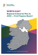 
            Image depicting item named North-East Regional Enterprise Plan First Progress Report