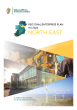 
            Image depicting item named North-East Regional Enterprise Plan to 2024
