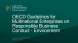 
            Image depicting item named Presentation: OECD Guidelines for Multinational Enterprises on Responsible Business Conduct - Environment