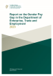 
            Image depicting item named Report on the Gender Pay Gap in DETE 2023