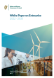
            Image depicting item named White Paper on Enterprise 2022-2030