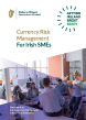 
            Image depicting item named Currency Risk Management for Irish SMEs