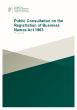 
            Image depicting item named Public Consultation on the Registration of Business Names Act 1963