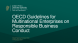 
            Image depicting item named Presentation: OECD Guidelines for Multinational Enterprises on Responsible Business Conduct