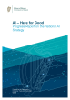 
            Image depicting item named Progress Report on implementation of the National AI Strategy: AI - Here for Good